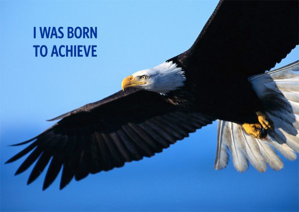 Positive Motivation Posters - Image 15