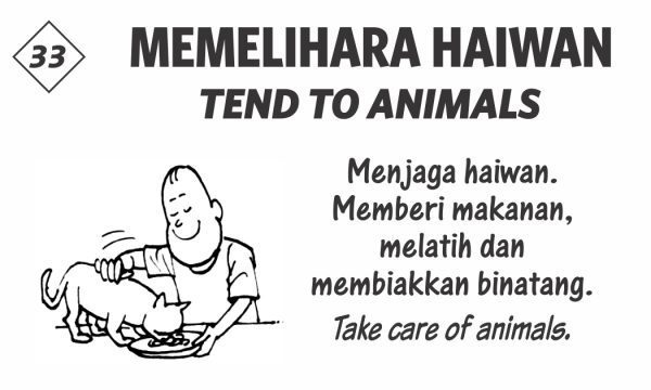 Skill Cards (20 Pack) - Image 11